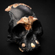 Cráneo infantil reconstruido de H. naledi. Las porciones oscuras son porciones inferidas del cráneo
